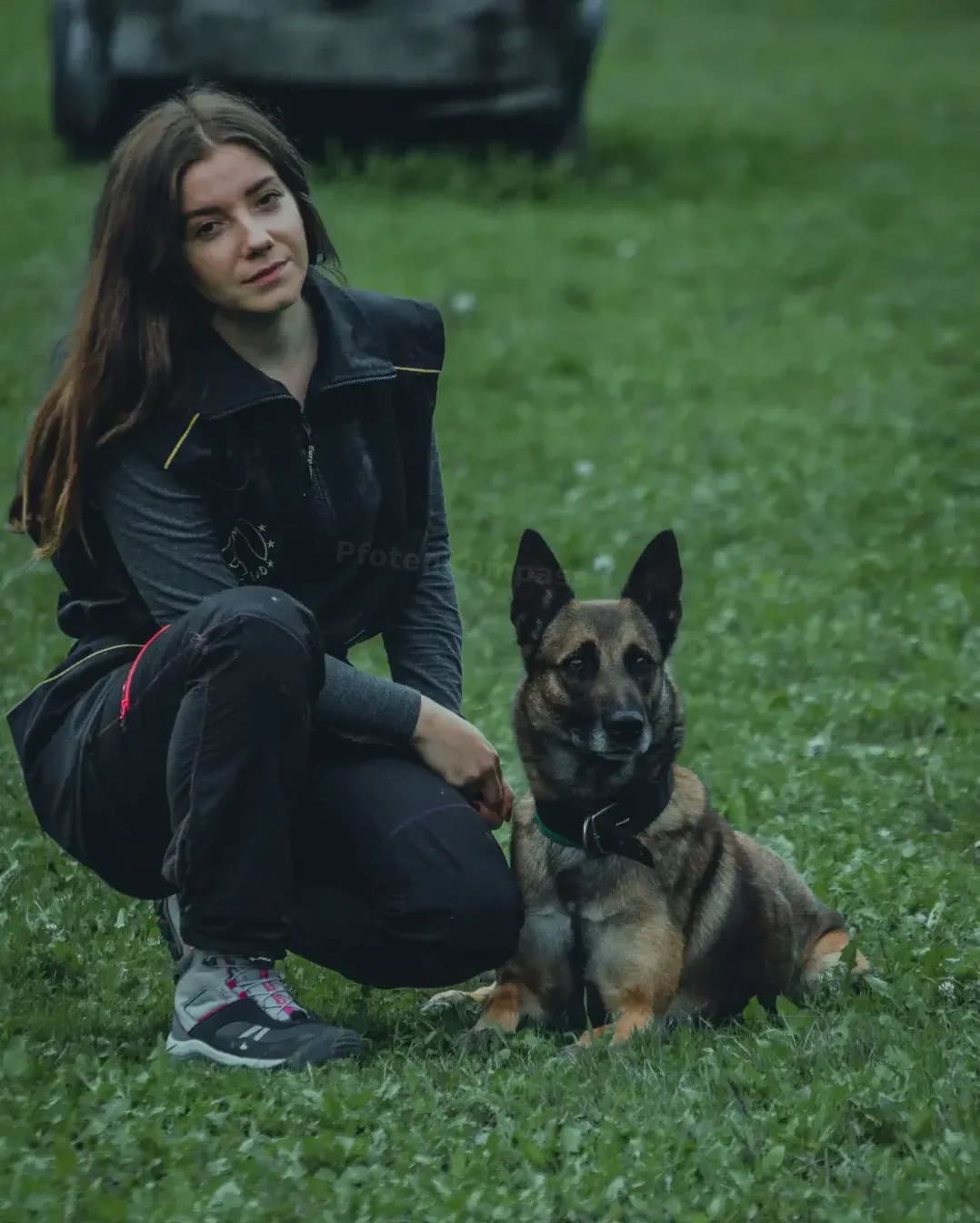 Hundebegegnungen und Begegnungstraining